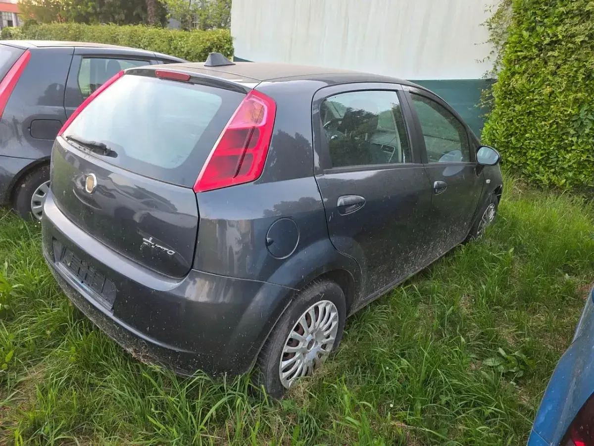 Usata Fiat Punto Evo Active 95 CV (69 kW) 2010 Nero Utilitaria