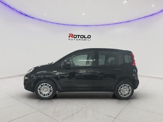 Nuova Fiat Panda Pop 69 CV (50 kW) 2025 Nero Utilitaria