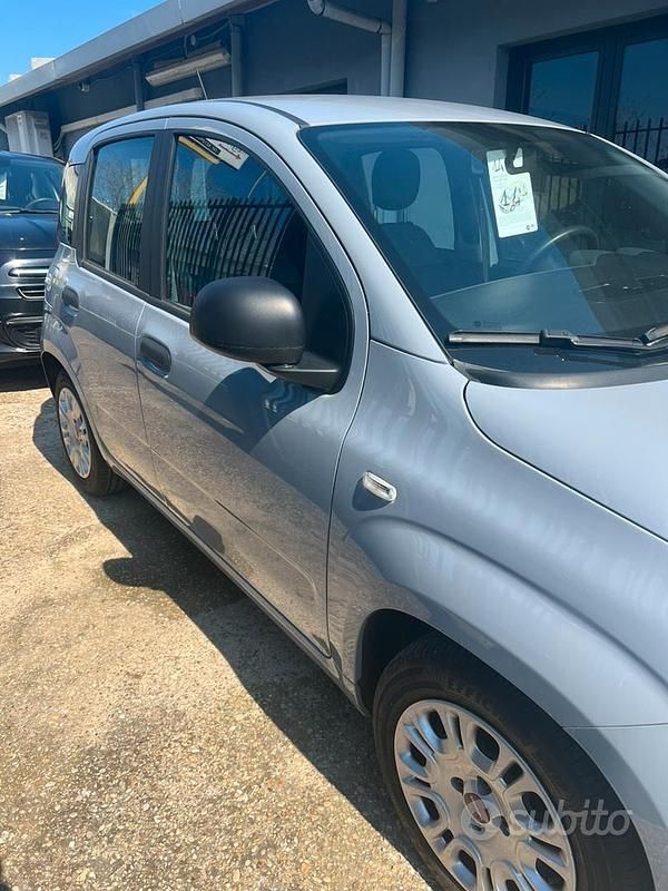 Usata Fiat Panda 70 CV (51 kW) 2021 Grigio Utilitaria