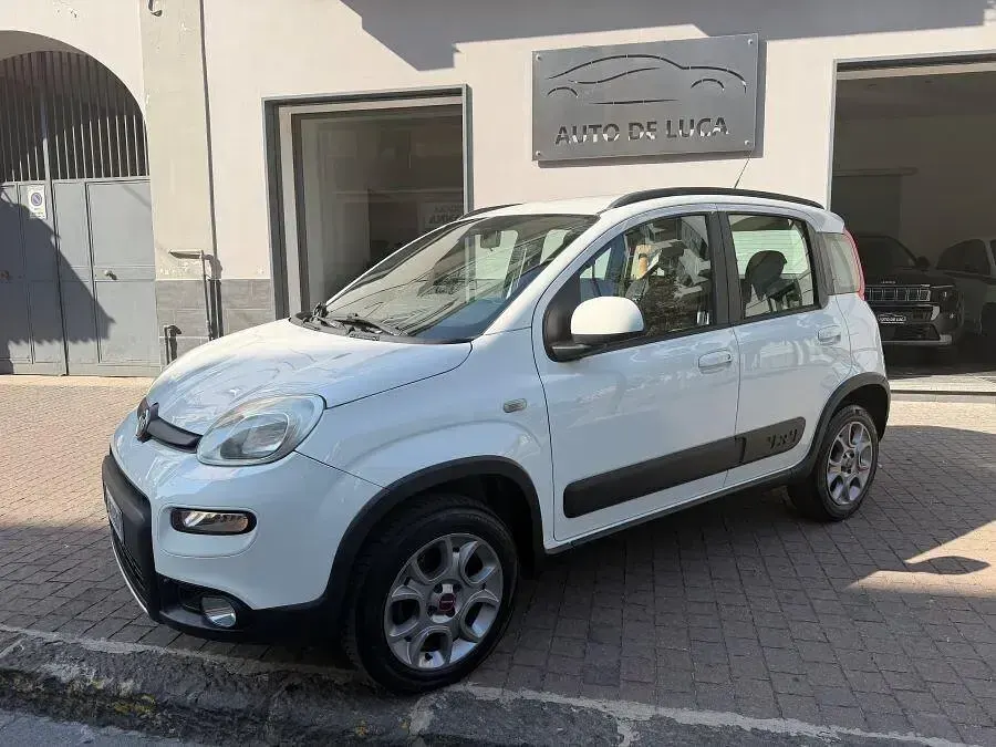 Usata Fiat Panda Cross Cross 75 CV (55 kW) 2014 Utilitaria