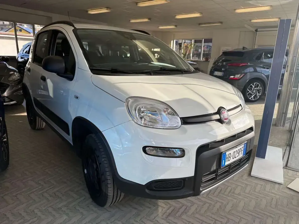 Usata Fiat Panda 4x4 Wild 84 CV (61 kW) 2019 Bianco Utilitaria