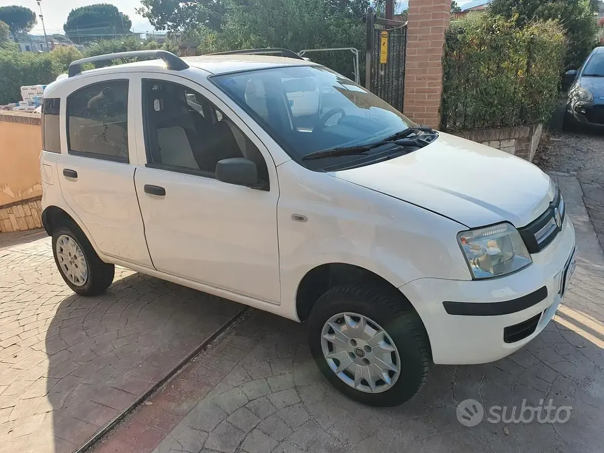 Usata Fiat Panda 4x4 69 CV (50 kW) 2008 Bianco Utilitaria