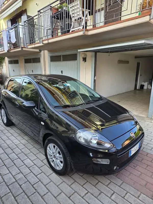 Usata Fiat Punto Young 69 CV (50 kW) 2014 Utilitaria