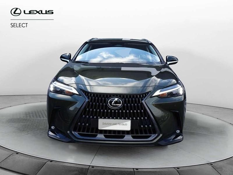 Usata Lexus NX300 243 CV (178 kW) 2023 Verde SUV