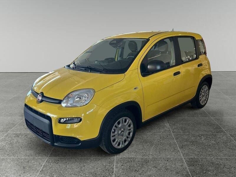 Usata Fiat Panda S 69 CV (50 kW) 2024 Giallo pastello Utilitaria