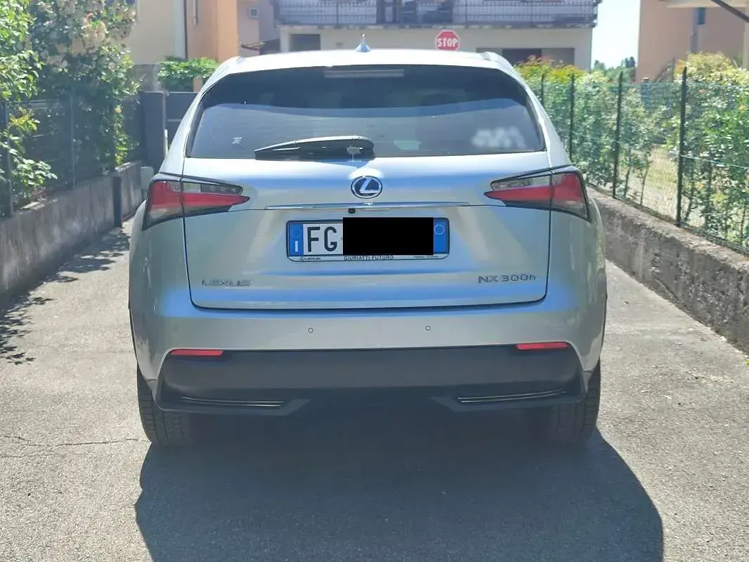 Usata Lexus NX300h Luxury Line 155 CV (114 kW) 2016 Argento SUV