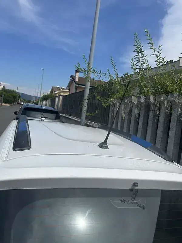 Usata Dacia Spring Comfort Plus 44 kW (61 CV) 2021 Utilitaria