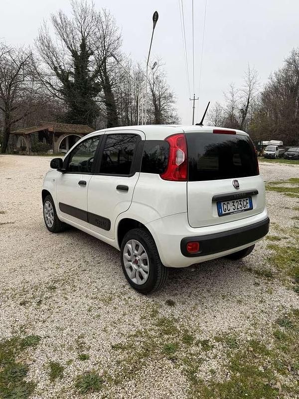 Usata Fiat Panda 4x4 Pop 86 CV (63 kW) 2020 Bianco Utilitaria