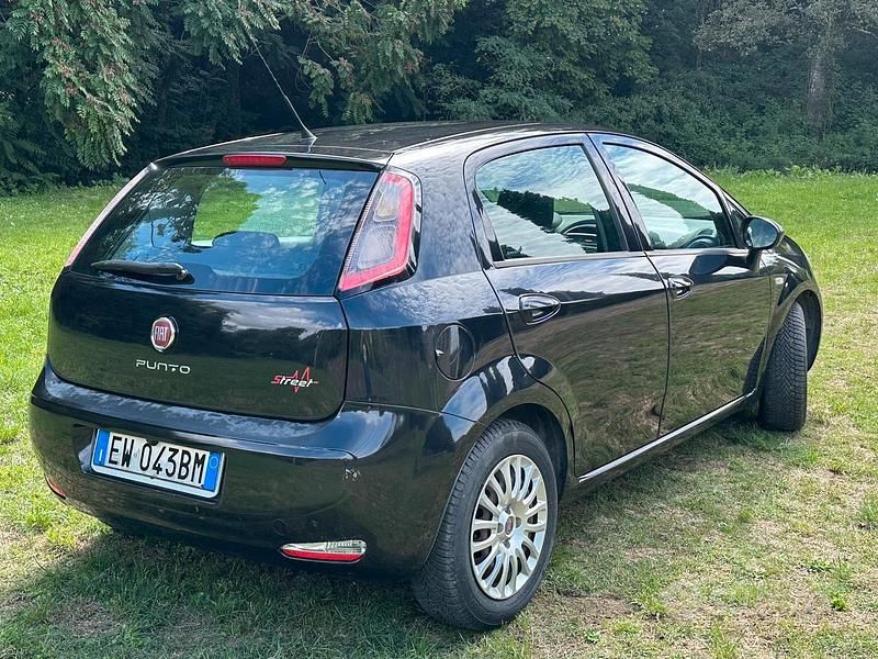 Usata Fiat Punto 65 CV (47 kW) 2014 Nero Utilitaria