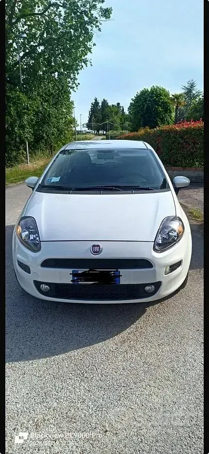 Usata Fiat Punto 75 CV (55 kW) 2012 Bianco Utilitaria