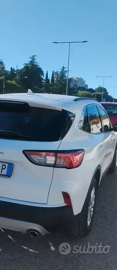 Usata Ford Kuga 120 CV (88 kW) 2022 Bianco SUV