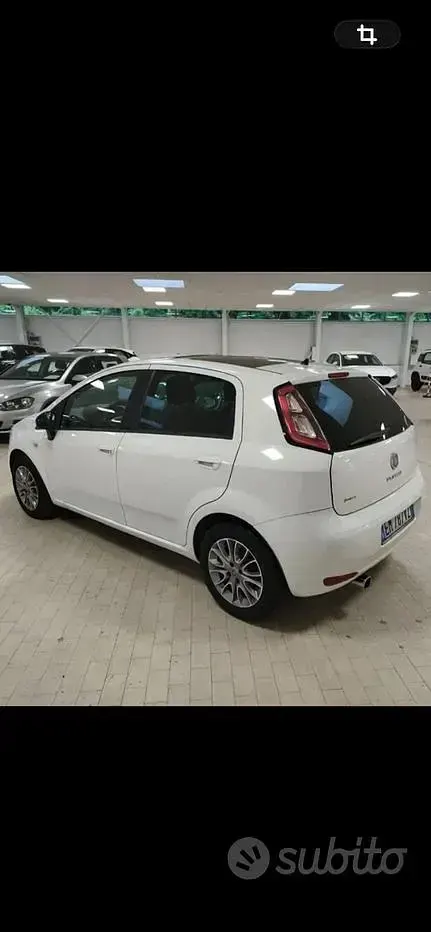 Begagnad Fiat Punto S 95 HK (69 kW) 2012 Vit Halvkombi