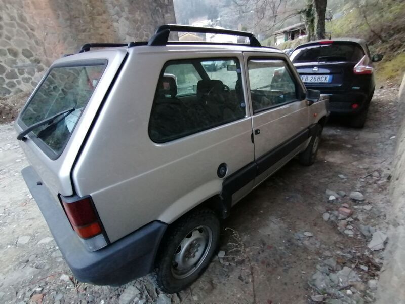 Usato 1999 Fiat Panda 4x4 1.1 Benzin 54 CV (5.500 €)