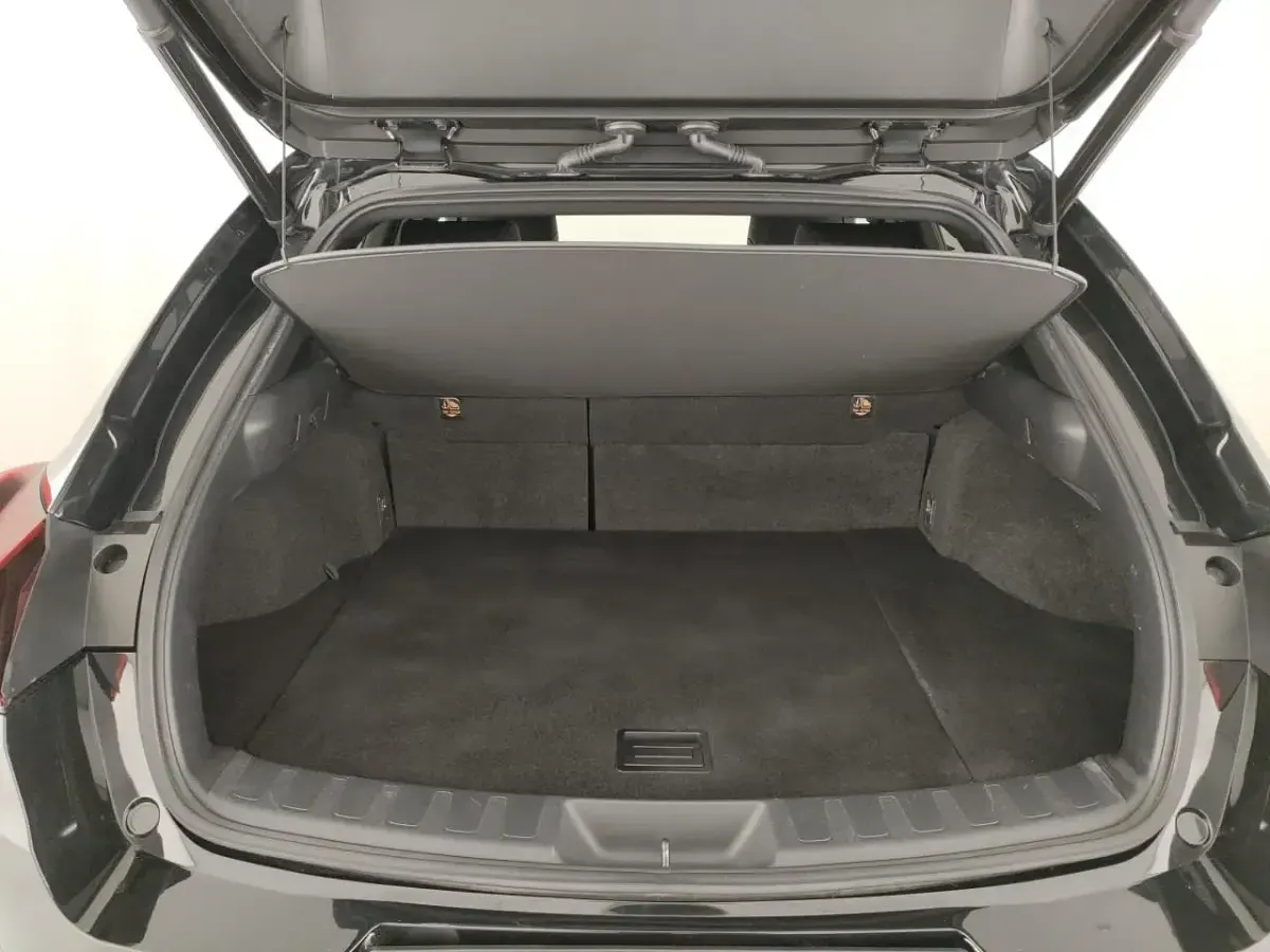 Usata Lexus UX 250h 145 CV (106 kW) 2021 Nero SUV