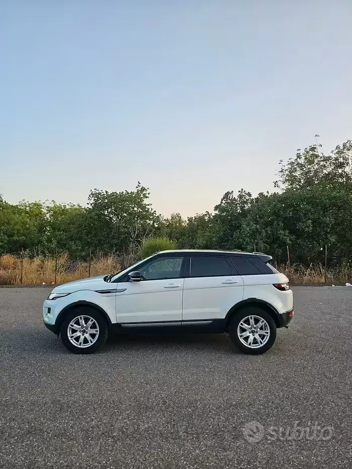 Usata Land Rover Range Rover evoque 150 CV (110 kW) 2013 Bianco SUV
