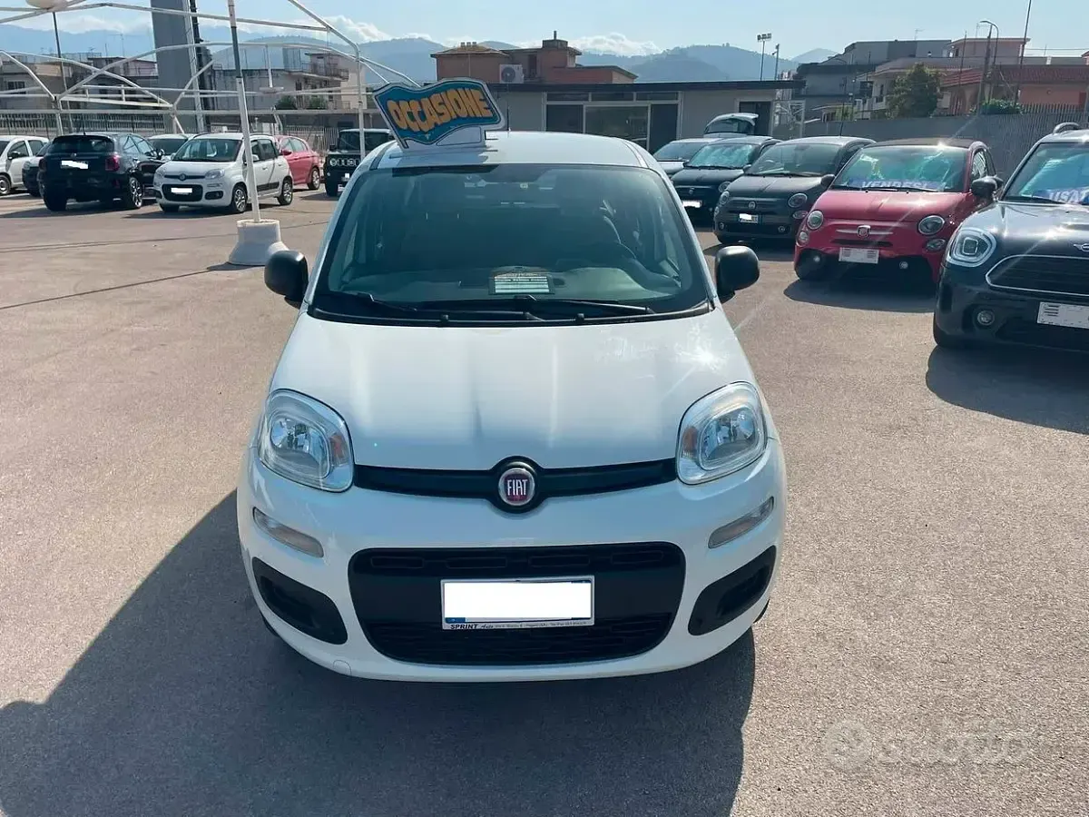 Usata Fiat Panda Easy 71 CV (52 kW) 2019 Utilitaria