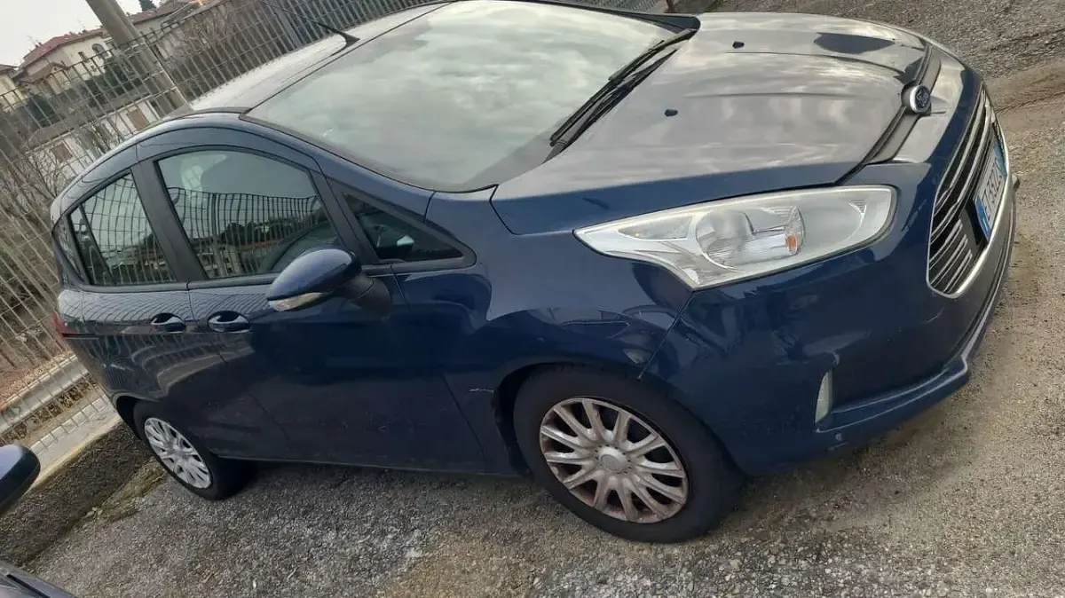 Usata Ford B-MAX 75 CV (55 kW) 2014 Other Monovolume