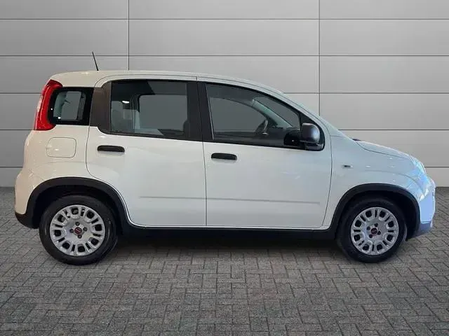 Usata Fiat Panda S 69 CV (50 kW) 2024 Bianco Utilitaria