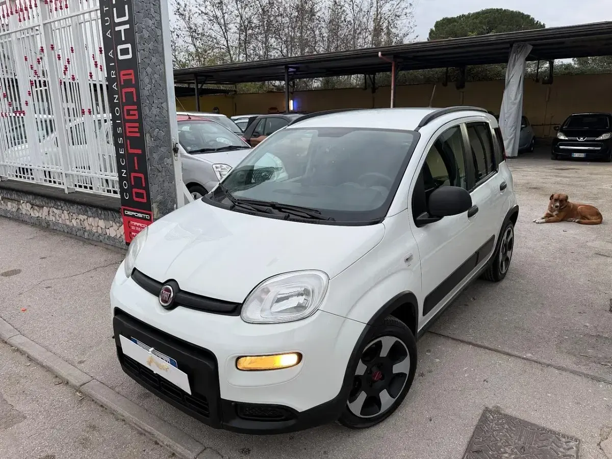 Usata Fiat Panda Cross Cross 71 CV (52 kW) 2021 Bianco Utilitaria