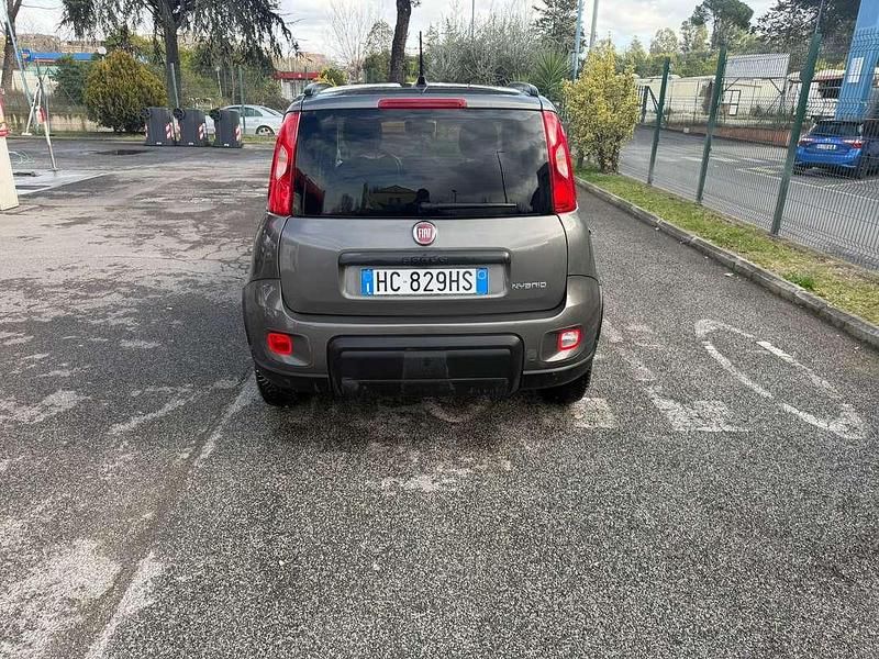 Usata Fiat Panda Lounge 86 CV (63 kW) 2024 Utilitaria