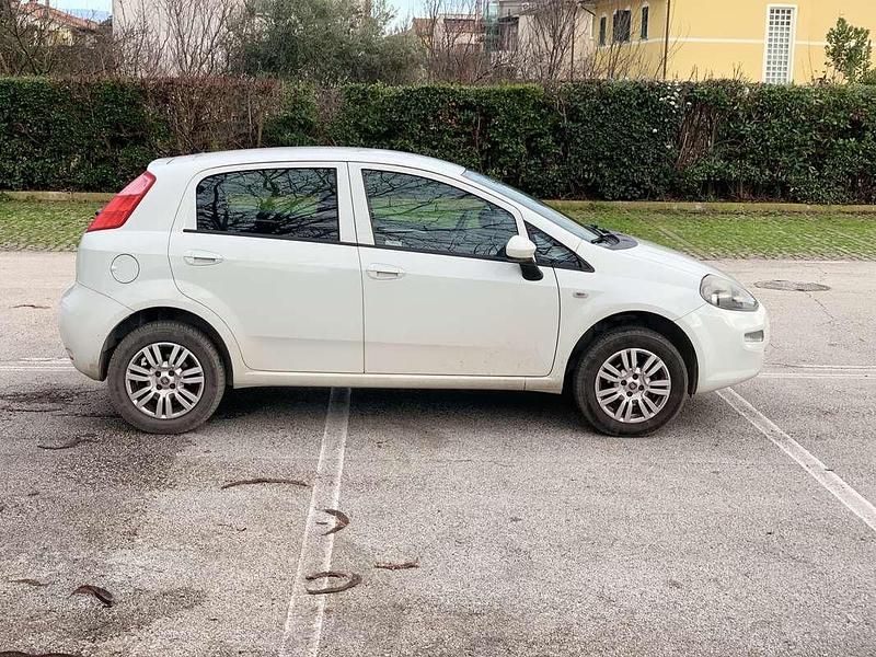 Usata Fiat Punto Lounge 77 CV (56 kW) 2016 Utilitaria