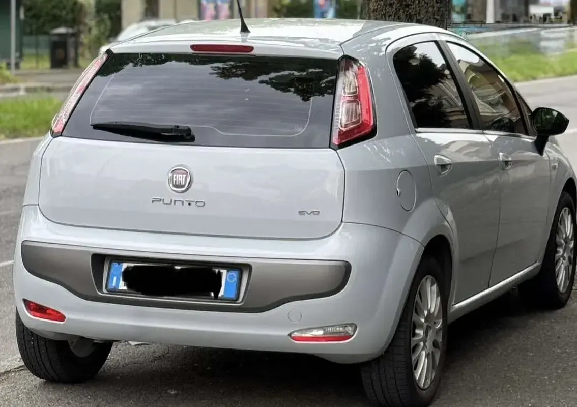 Usata Fiat Punto Evo Emotion 105 CV (77 kW) 2010 Bianco Utilitaria