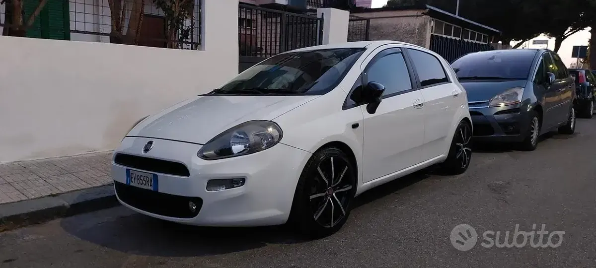 Usata Fiat Punto Lounge 75 CV (55 kW) 2014 Bianco Utilitaria