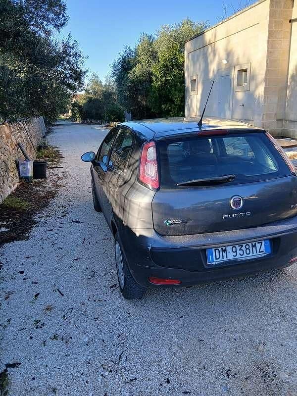 Usata Fiat Punto Evo Dynamic 69 CV (50 kW) 2010 Utilitaria