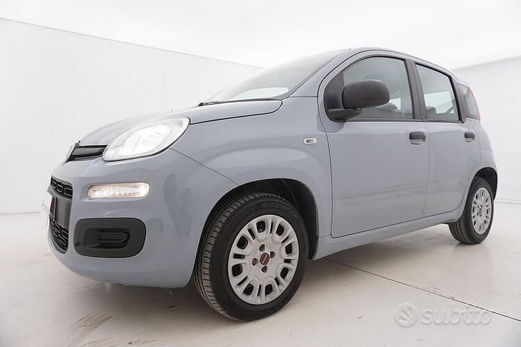Usata Fiat Panda Easy 69 CV (50 kW) 2020 Grigio Utilitaria