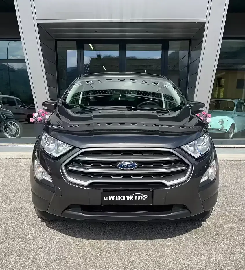 Usata Ford Ecosport Business Edition 125 CV (91 kW) 2019 Grigio SUV