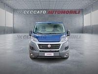 Occasion Fiat Ducato 116 ch (85 kW) 2019 Bleue Van