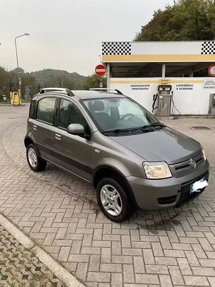 Usata Fiat Panda 4x4 69 CV (50 kW) 2010 Grigio Utilitaria