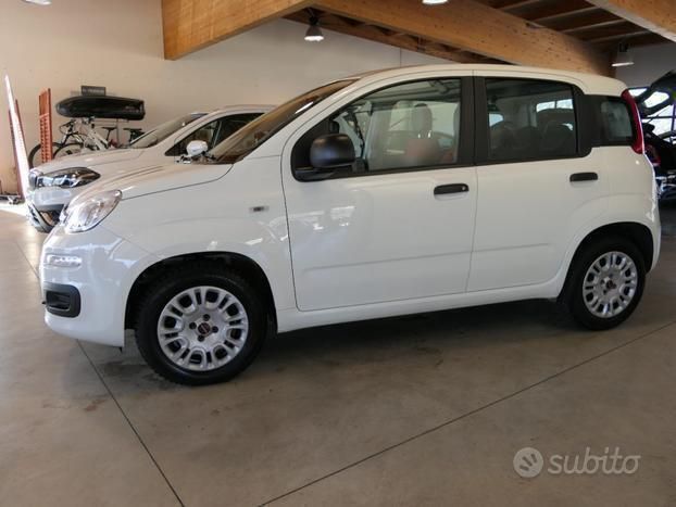 Usata Fiat Panda Easy 69 CV (50 kW) 2020 Bianco Utilitaria