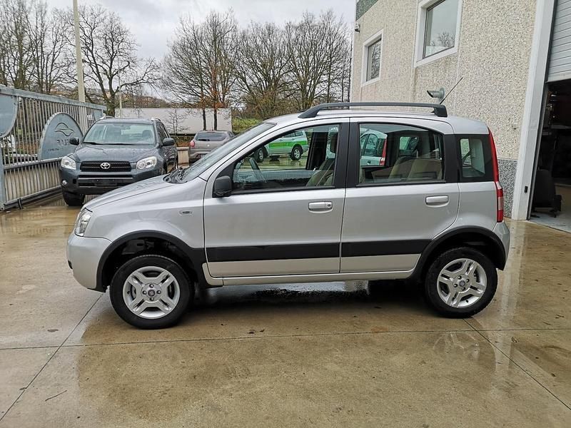 Usata Fiat Panda 4x4 74 CV (54 kW) 2009 Argento Utilitaria