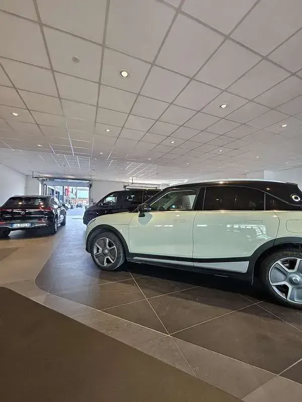 Usata Smart #1 Edition #1 75 kW (102 CV) 2023 SUV