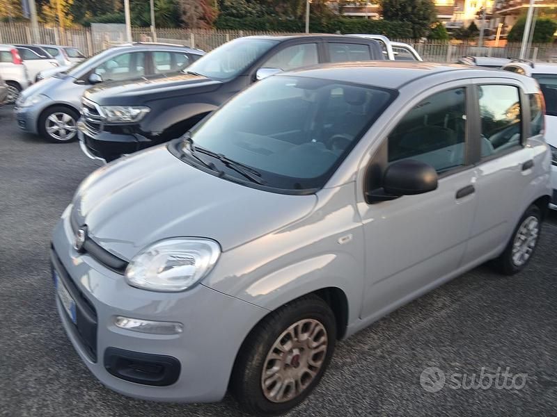 Usata Fiat Panda Easy 69 CV (50 kW) 2021 Grigio Berlina