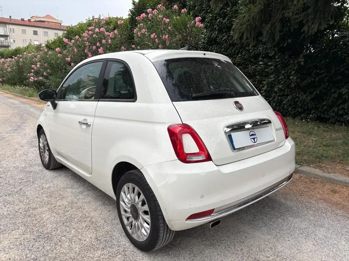 Usata Fiat 500 Dolcevita 69 CV (50 kW) 2021 Bianco Berlina