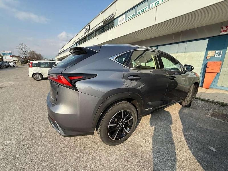 Usata Lexus NX300h 155 CV (114 kW) 2021 Grigio SUV