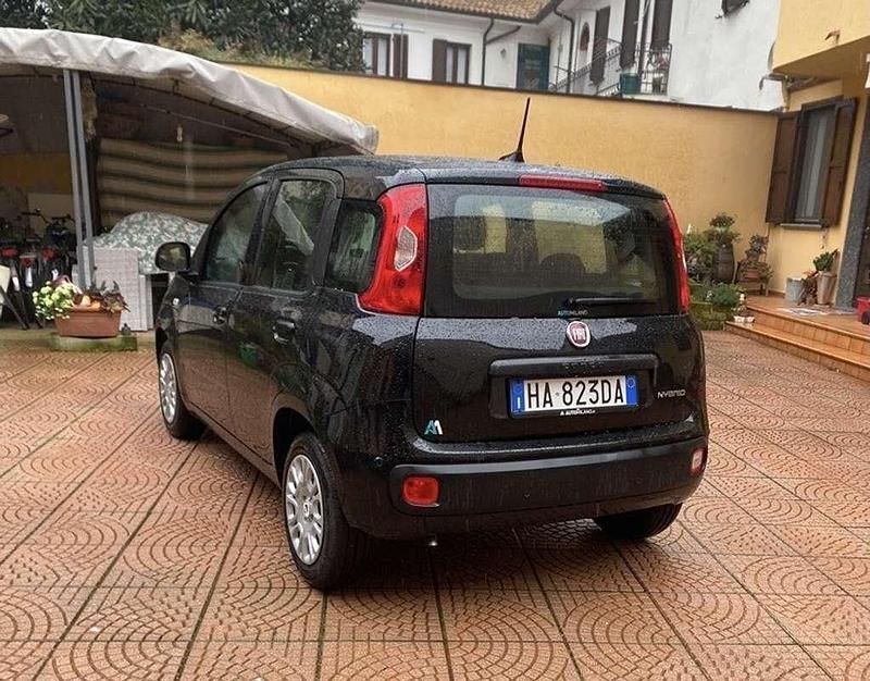 Usata Fiat Panda Icon 69 CV (50 kW) 2025 Utilitaria