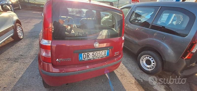 Usata Fiat Panda Dynamic 60 CV (44 kW) 2008 Rosso Utilitaria