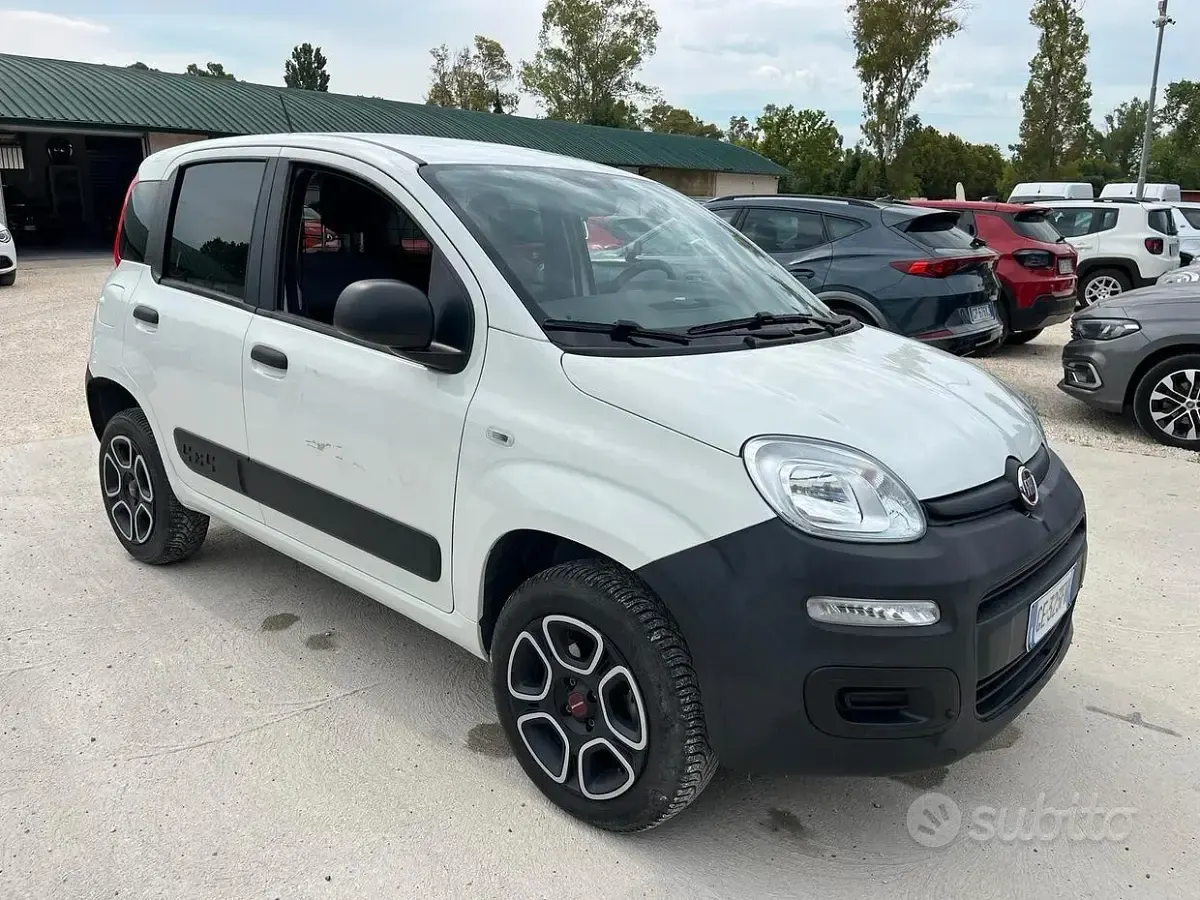 Usata Fiat Panda 4x4 Pop 85 CV (62 kW) 2021 Bianco Utilitaria