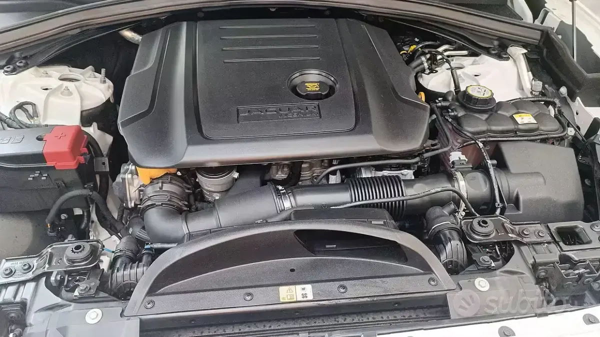 Usata Jaguar F-Pace 250 CV (183 kW) 2017 Bianco SUV