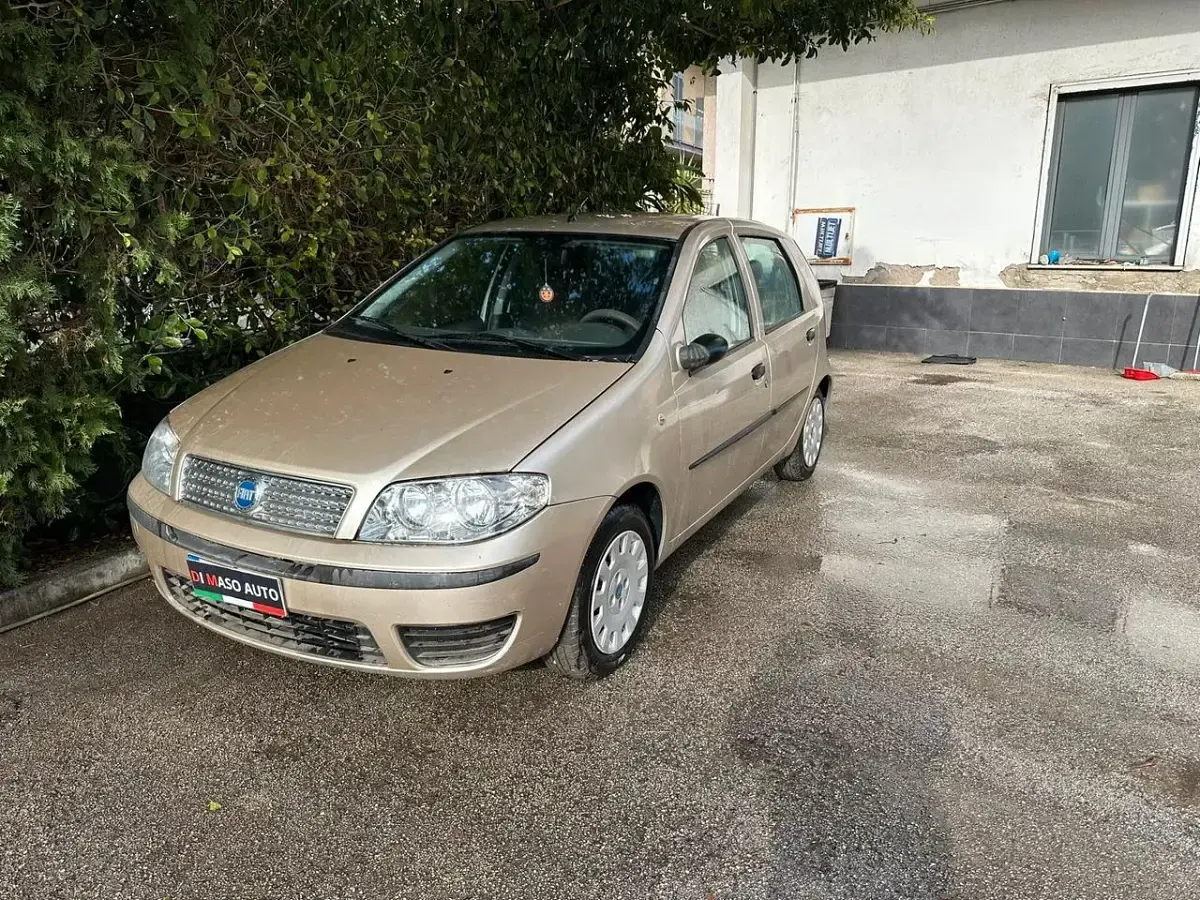 Usata Fiat Punto Active 60 CV (44 kW) 2009 Oro Utilitaria