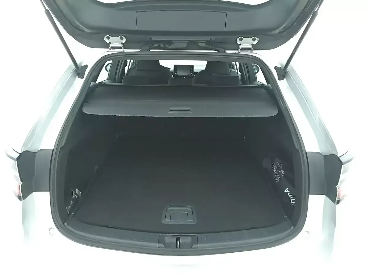 Usata Toyota Corolla Business Edition 122 CV (89 kW) 2020 Argentoargento Station wagon