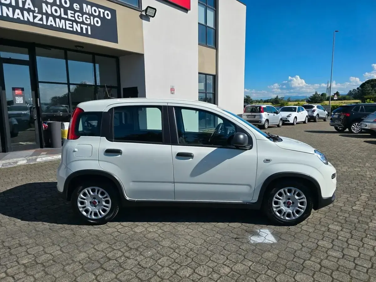 Usata Fiat Panda Cross Cross 69 CV (50 kW) 2023 Bianco Utilitaria
