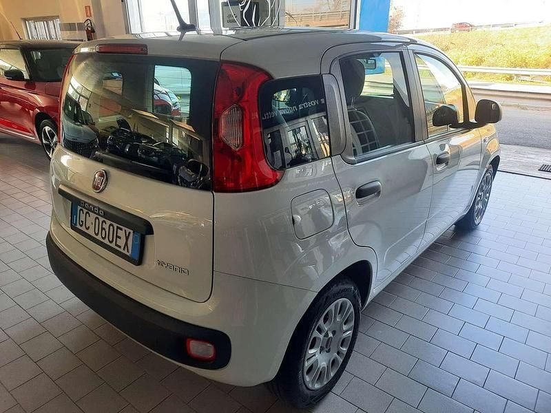 Usata Fiat Panda Easy 69 CV (50 kW) 2020 Bianco gelato Utilitaria