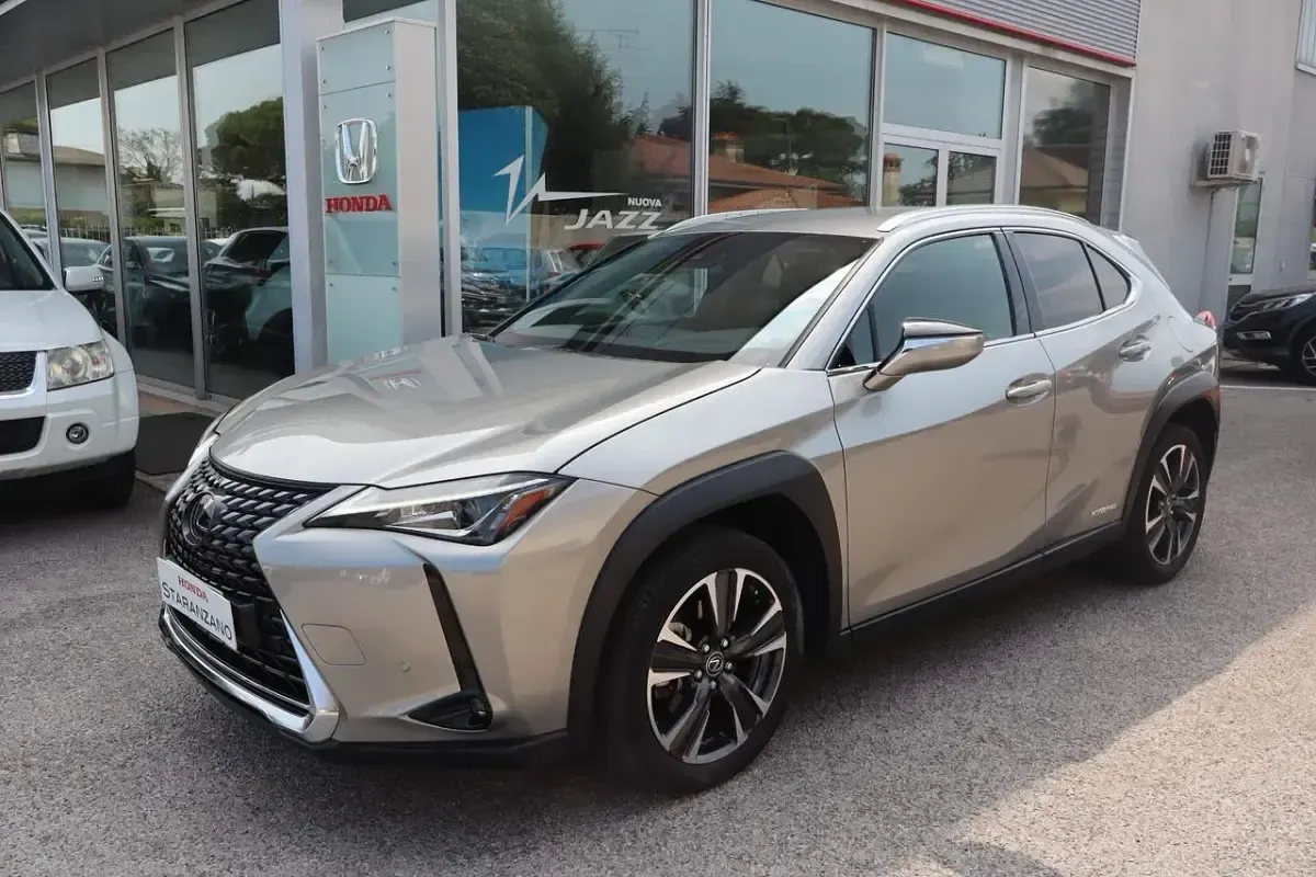 Usata Lexus UX 152 CV (111 kW) 2020 Grigio SUV