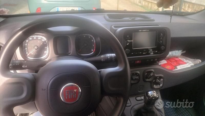 Usata Fiat Panda 2023 Utilitaria