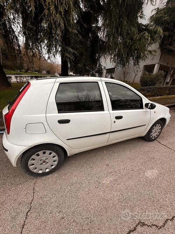 Usata Fiat Punto Active 60 CV (44 kW) 2009 Bianco Utilitaria