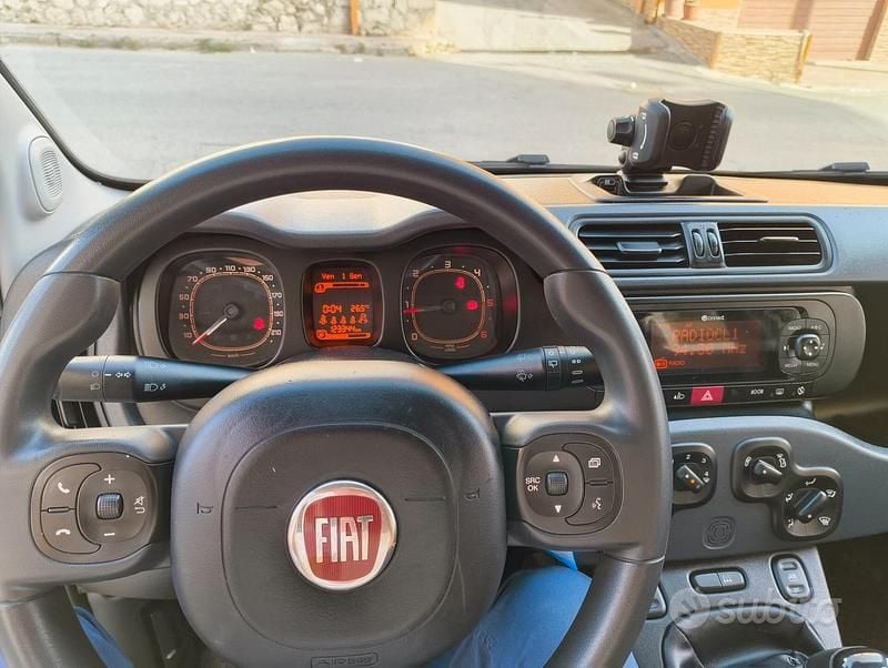 Usata Fiat Panda 4x4 S 95 CV (69 kW) 2017 Bianco Utilitaria